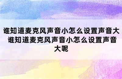 谁知道麦克风声音小怎么设置声音大 谁知道麦克风声音小怎么设置声音大呢